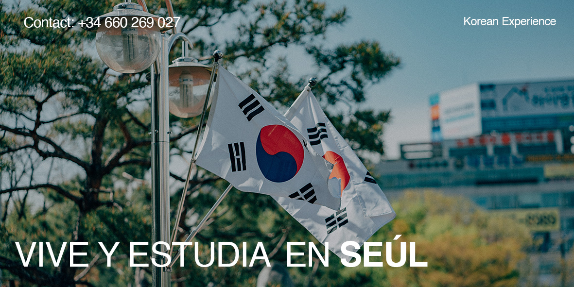 Vive y Estudia en Seúl